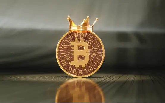 加密货币的逻辑_探讨加密货币交易的技术分析策略：利用数据制定明智的决策_加密货币看法