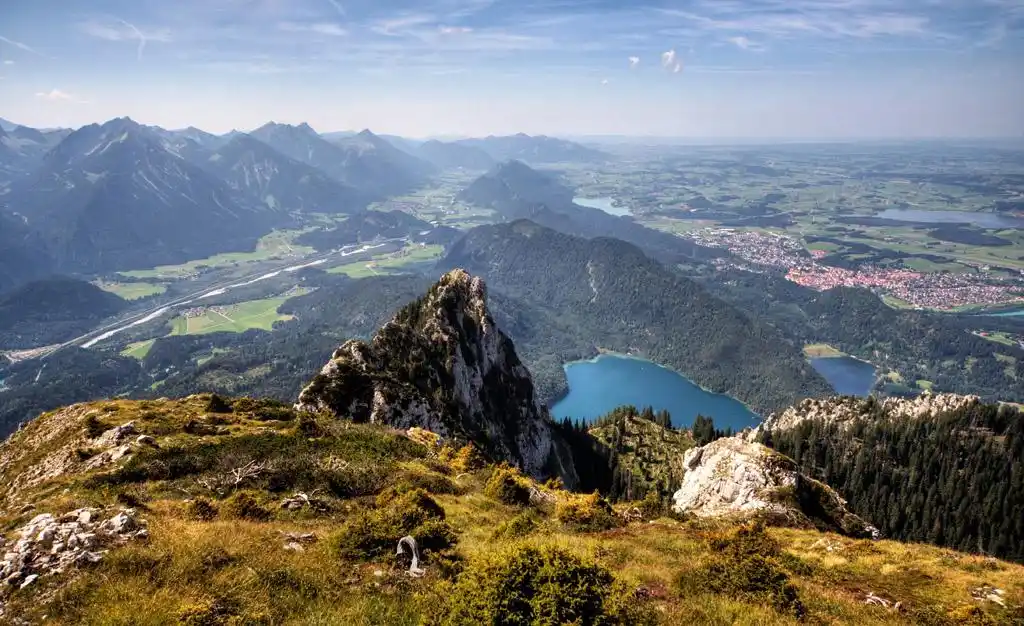 该客户账户已受关注_客户服务:他们提供客户支持服务,帮助客户解决有关其账户或交易平台的任何问题或疑问。_客户交易异常