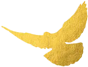 央行数字货币mBridge项目推动跨境结算效率提升与全球金融体系变革